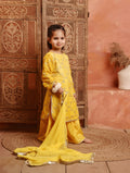 Sitara Sharara Set