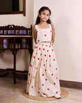 Little Valentine Skirt set