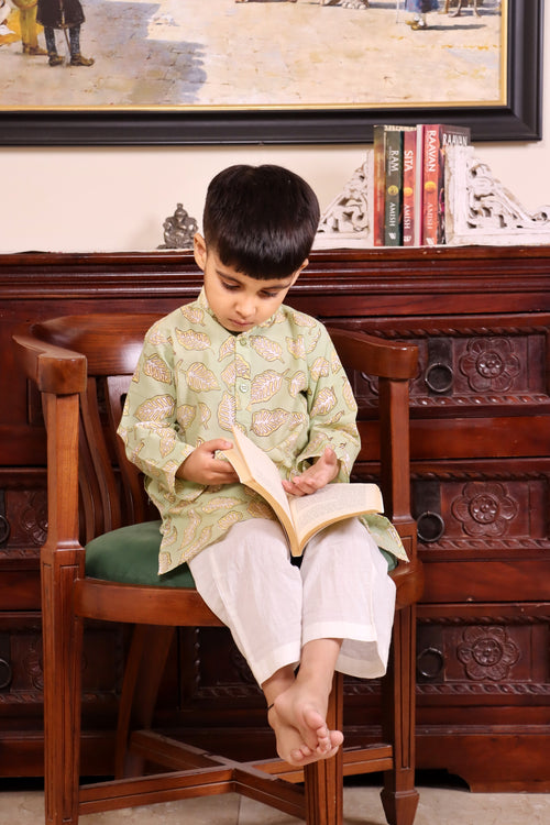 Ayaan kurta Pyjama Set