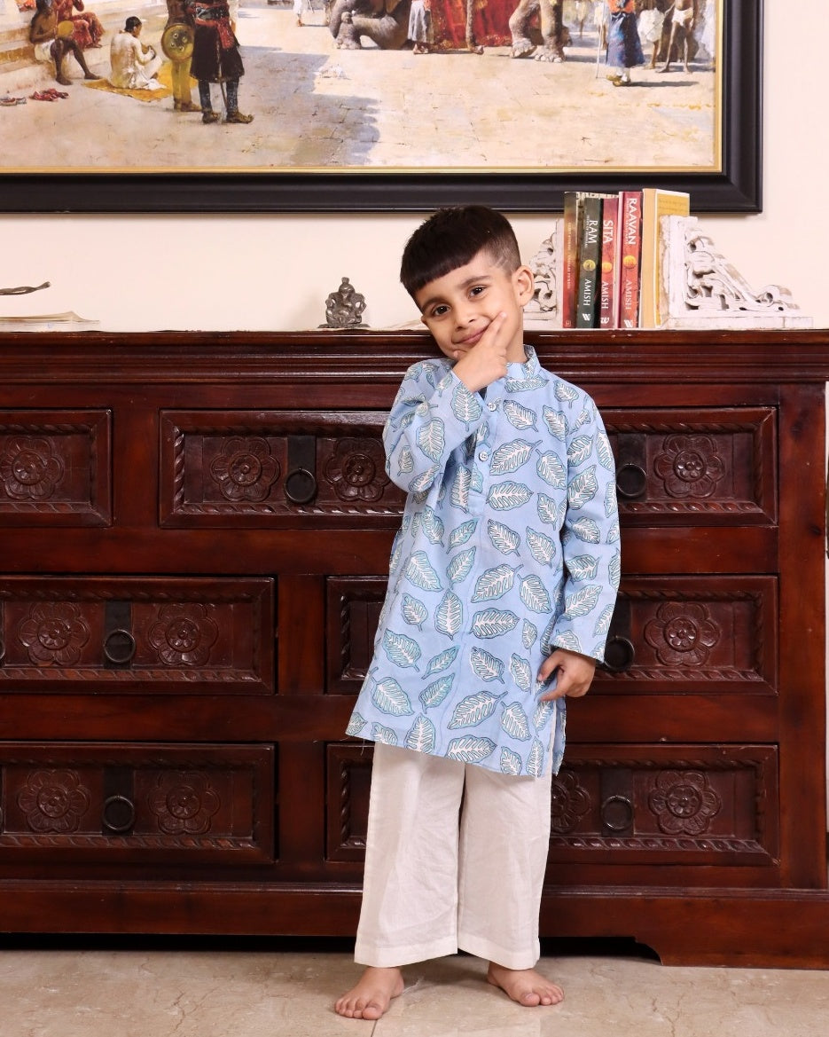Ayaan kurta Pyjama Set